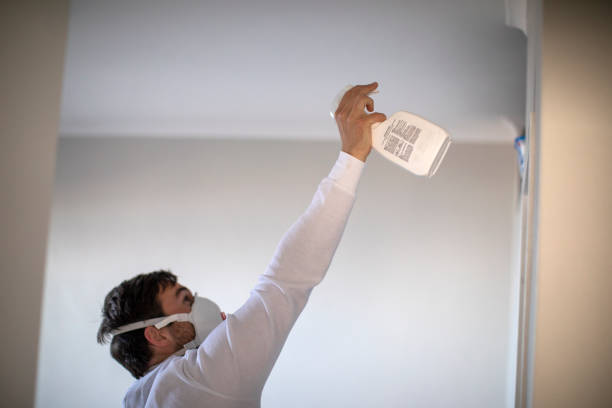 Trusted Raton, NM Mold Remediation Experts